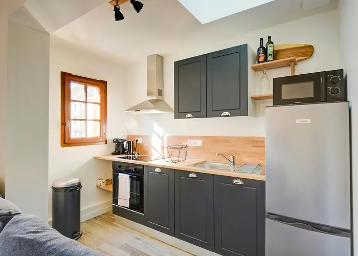 Appartement Le Cheverny Between The Banks Of The Loire And Old *