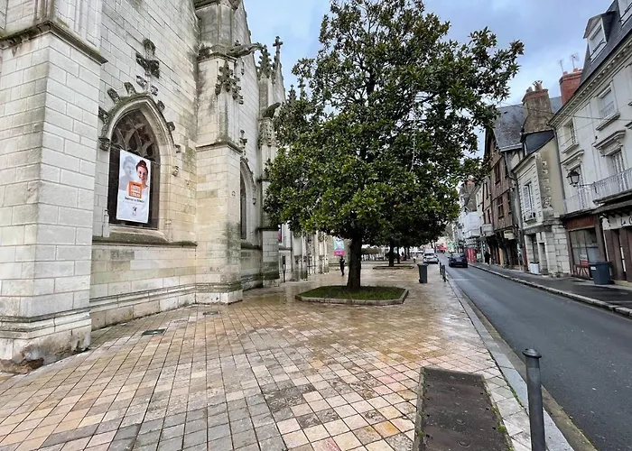 Le Cheverny Between The Banks Of The Loire And Old 公寓