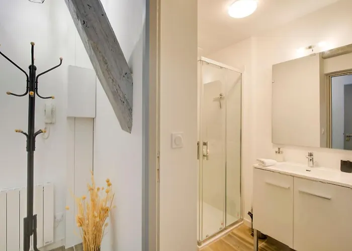 Le Cheverny Between The Banks Of The Loire And Old 公寓