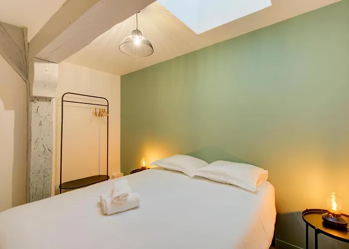 Appartement Le Cheverny Between The Banks Of The Loire And Old *